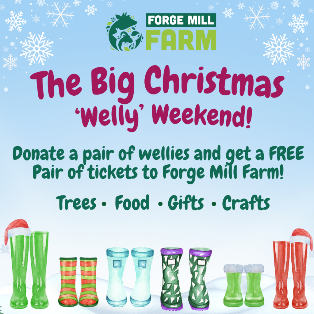 The Big Christmas ‘Welly’ Weekend