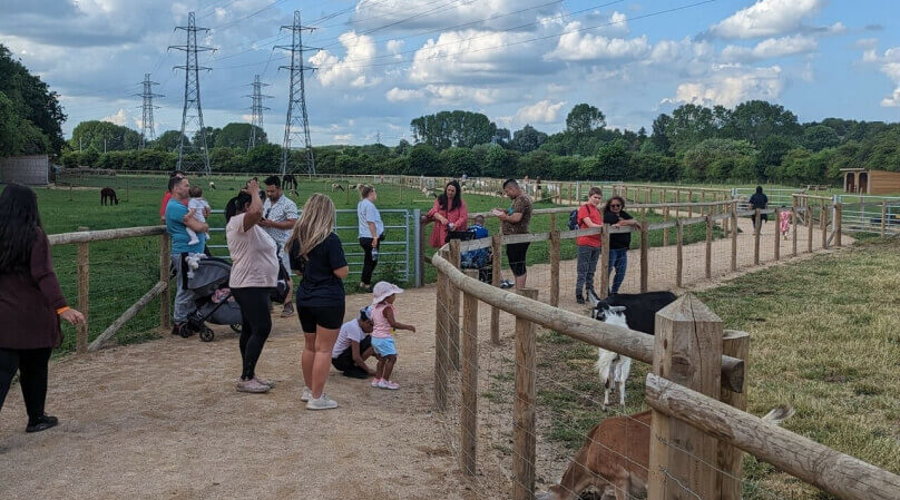 People standing around a fence, observing animals. Excitement fills the air as visitors plan their visit.
