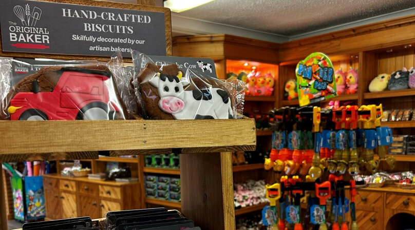 A store filled with toys and various items for sale.