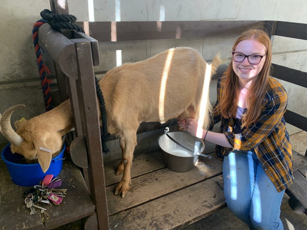 A woman gently pets a goat in a pen, enjoying a warm summer day at the farm.