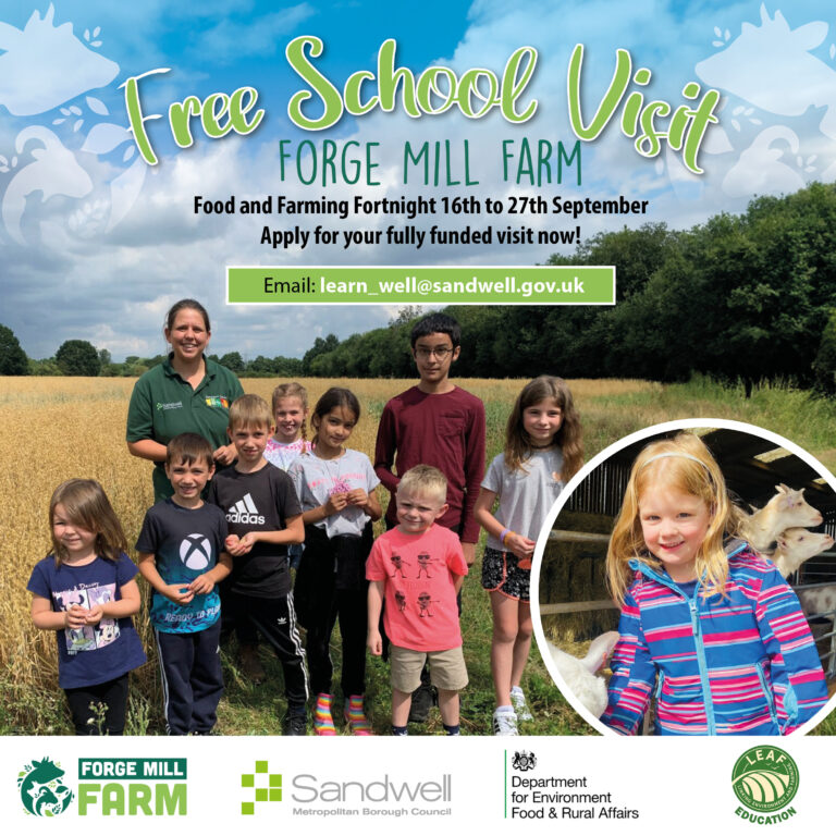 A group of students enjoying a free school visit to Forge Mill Farm, interacting with animals and learning about agriculture.
