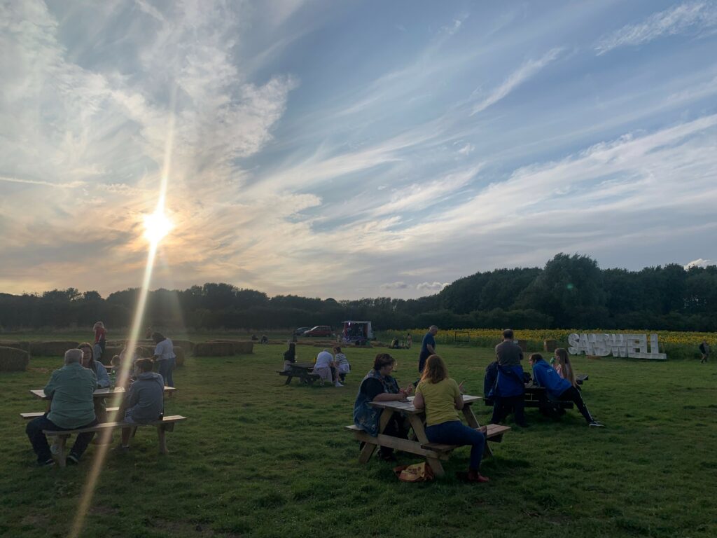 A group of people enjoying a picnic at tables in a field, surrounded by sunflowers during a sunset music and photography event.