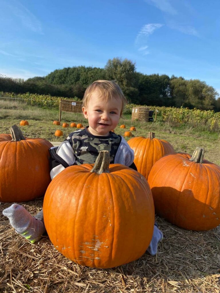 A baby joyfully sitting atop a colorful pile of pumpkins, surrounded by a vibrant autumn landscape.