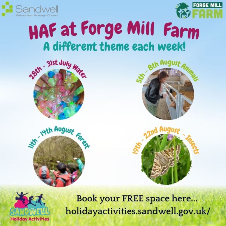 HAF – Holiday Activities, Summer activities 2025