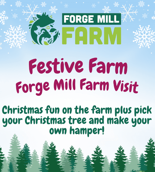 Join us at Forge Mill Farm every weekend this November and December to explore the farm with a festive twist.