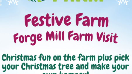 Join us at Forge Mill Farm every weekend this November and December to explore the farm with a festive twist.