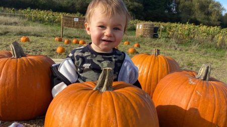 A baby joyfully sitting atop a colorful pile of pumpkins, surrounded by a vibrant autumn landscape.
