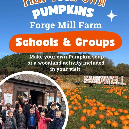 Pick your own pumpkins - Schools & Community groups - Forge Mill Farm